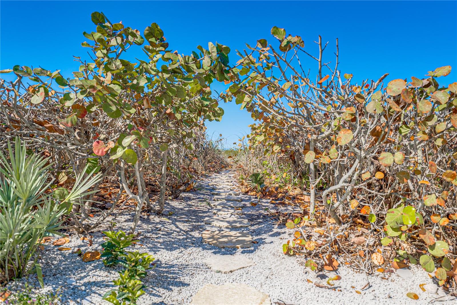 380 GULF BLVD #15, BOCA GRANDE, FL, 33921