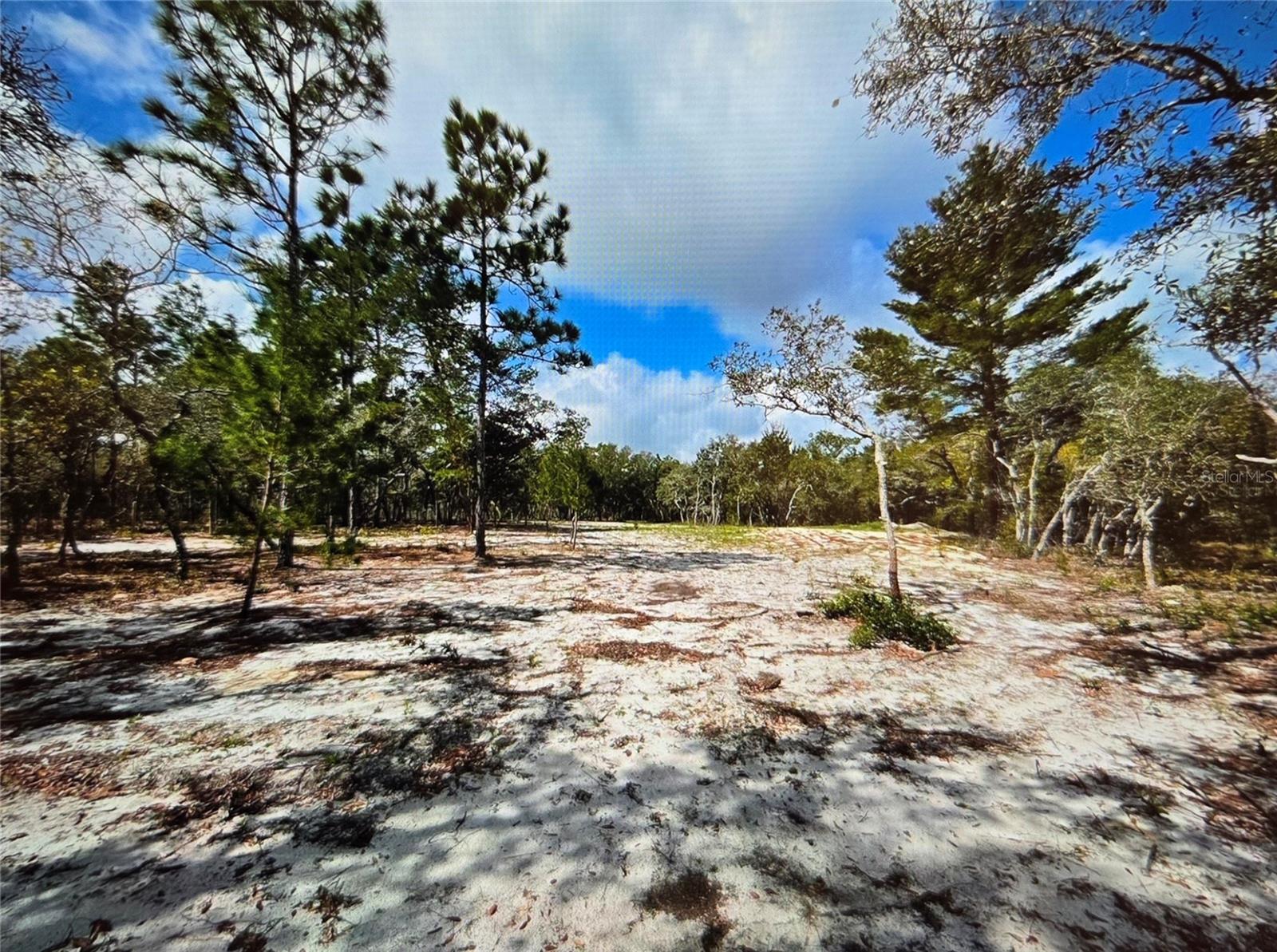 13100 SADDLEBACK TRL, HUDSON, FL, 34667