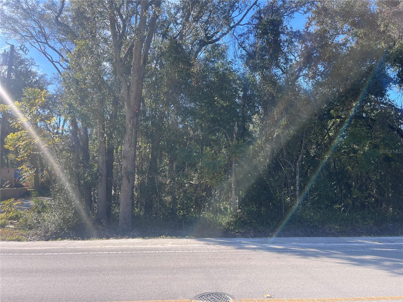 14TH ST, ORANGE CITY, FL, 32763