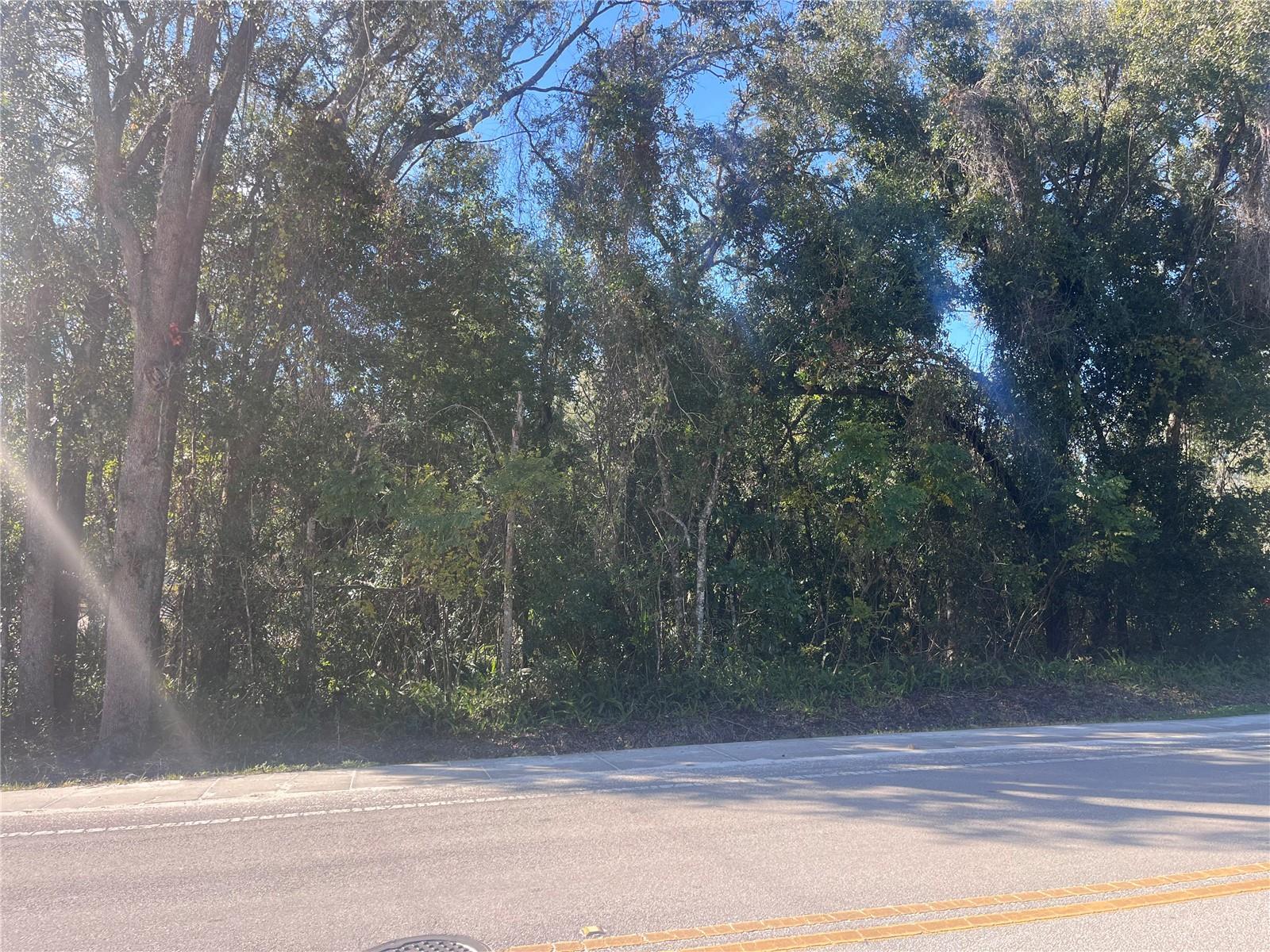 14TH ST, ORANGE CITY, FL, 32763