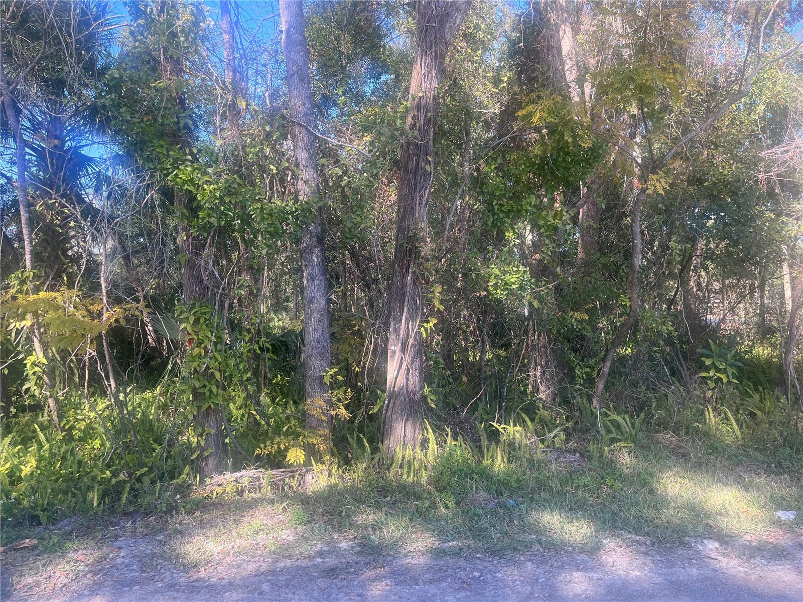 14TH ST, ORANGE CITY, FL, 32763