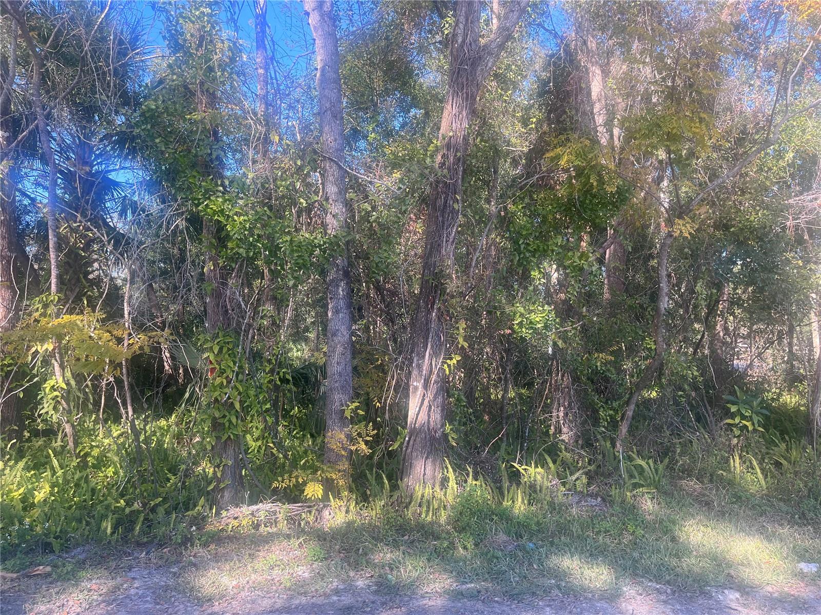 14TH ST, ORANGE CITY, FL, 32763