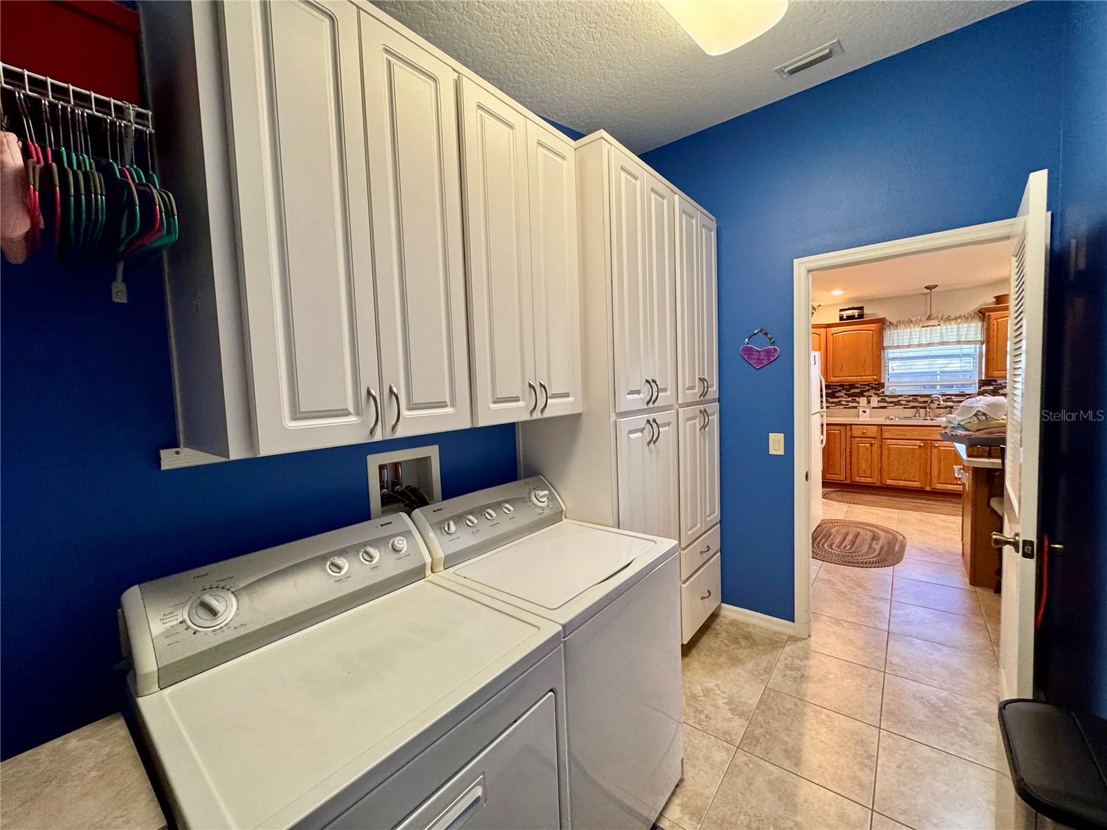17483 SE 74TH NETHERCLIFT TER, THE VILLAGES, FL, 32162