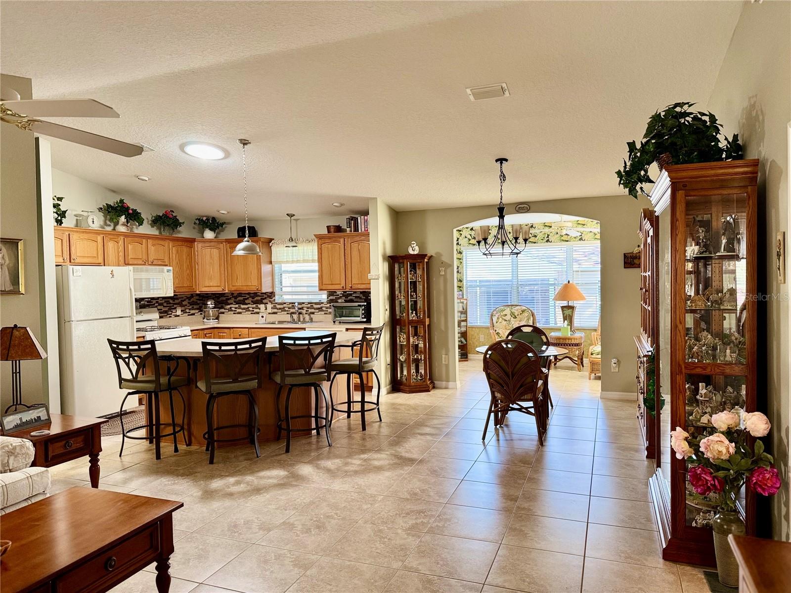 17483 SE 74TH NETHERCLIFT TER, THE VILLAGES, FL, 32162