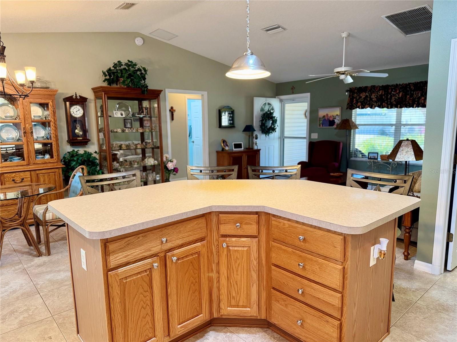 17483 SE 74TH NETHERCLIFT TER, THE VILLAGES, FL, 32162