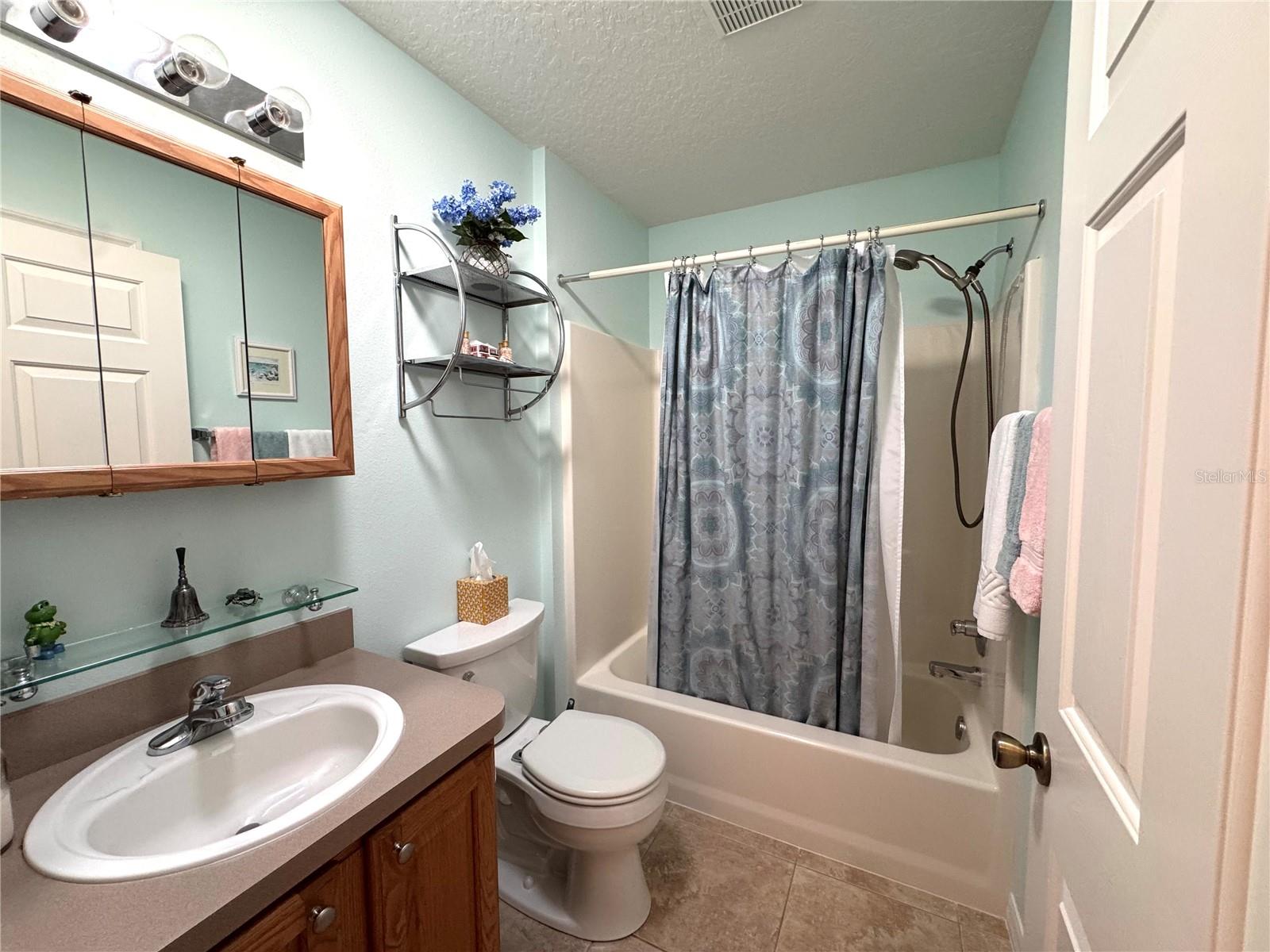 17483 SE 74TH NETHERCLIFT TER, THE VILLAGES, FL, 32162