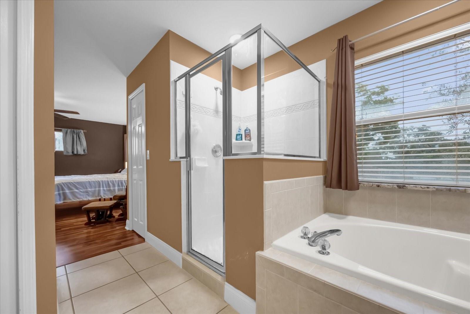 8567 BAYWOOD VISTA DR, ORLANDO, FL, 32810