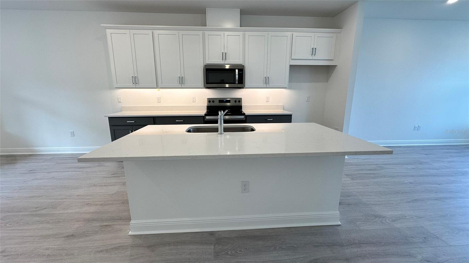 13156 CALMING BREEZE WAY, WINTER GARDEN, FL, 34787