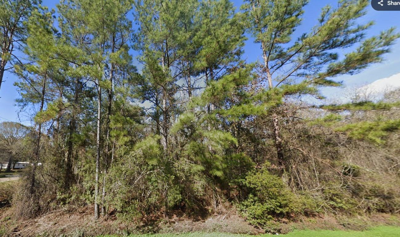 10270 NIKOLICH AVE, HASTINGS, FL, 32145