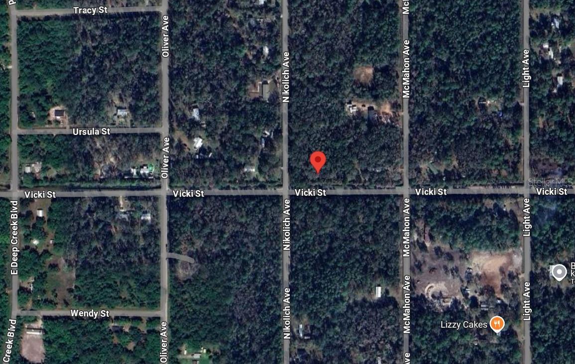 10270 NIKOLICH AVE, HASTINGS, FL, 32145
