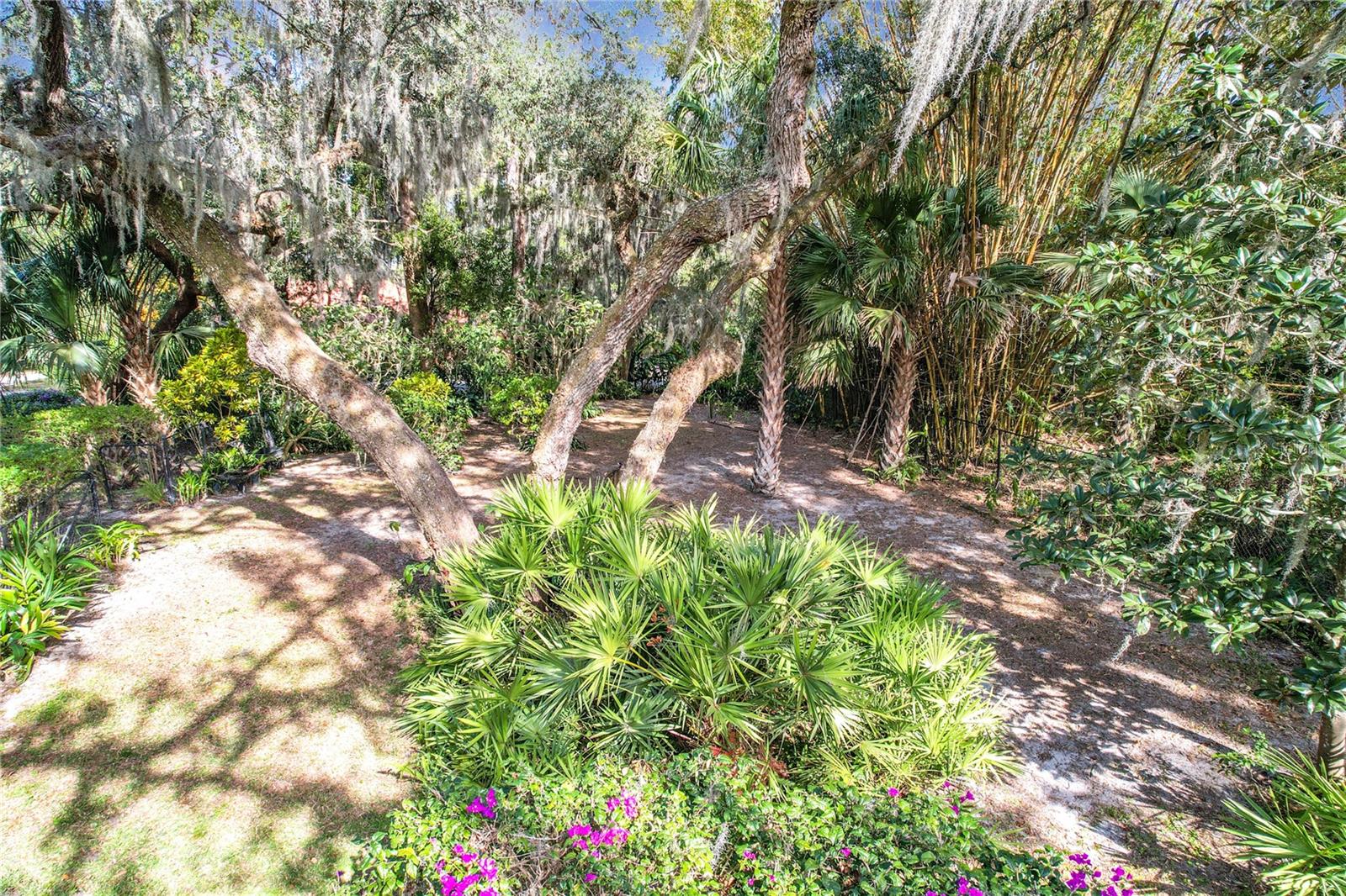 1130 ELYSIUM BLVD, MOUNT DORA, FL, 32757