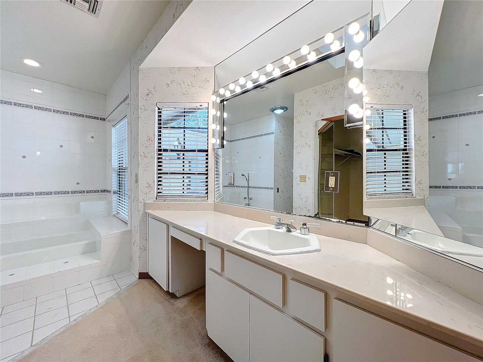1130 ELYSIUM BLVD, MOUNT DORA, FL, 32757