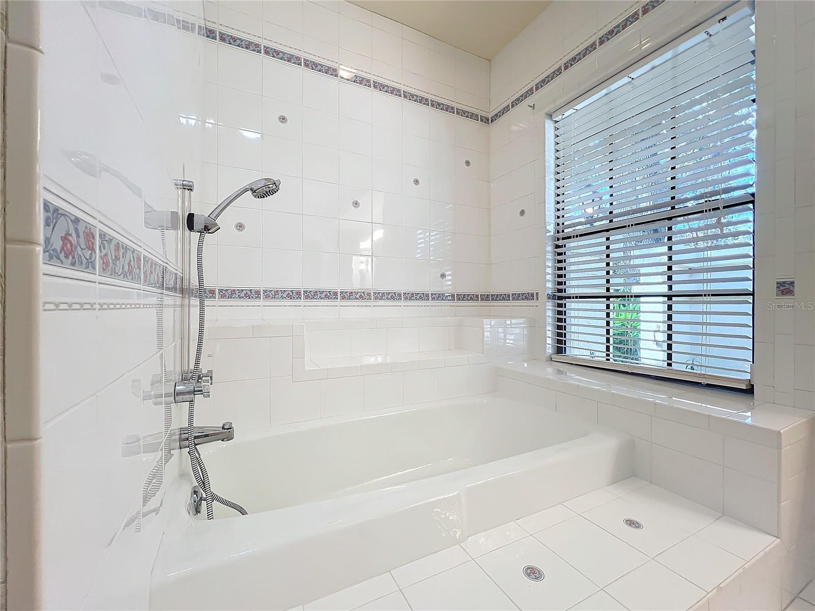 1130 ELYSIUM BLVD, MOUNT DORA, FL, 32757