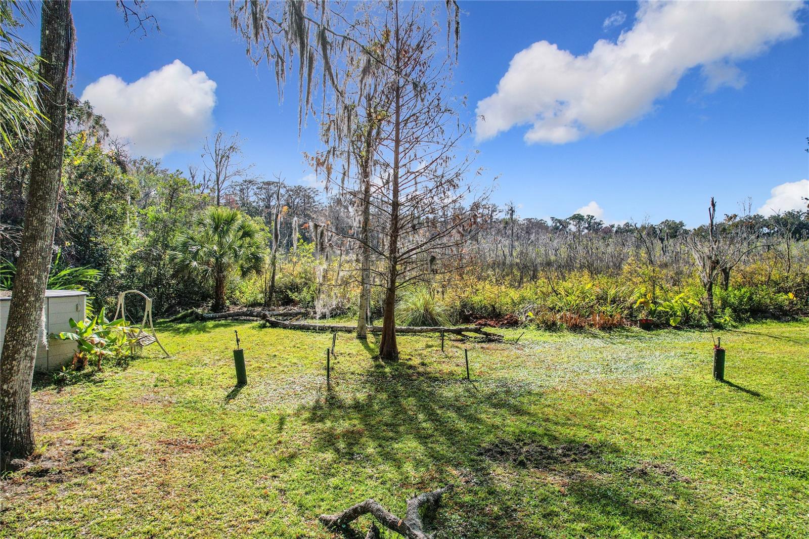 1130 ELYSIUM BLVD, MOUNT DORA, FL, 32757