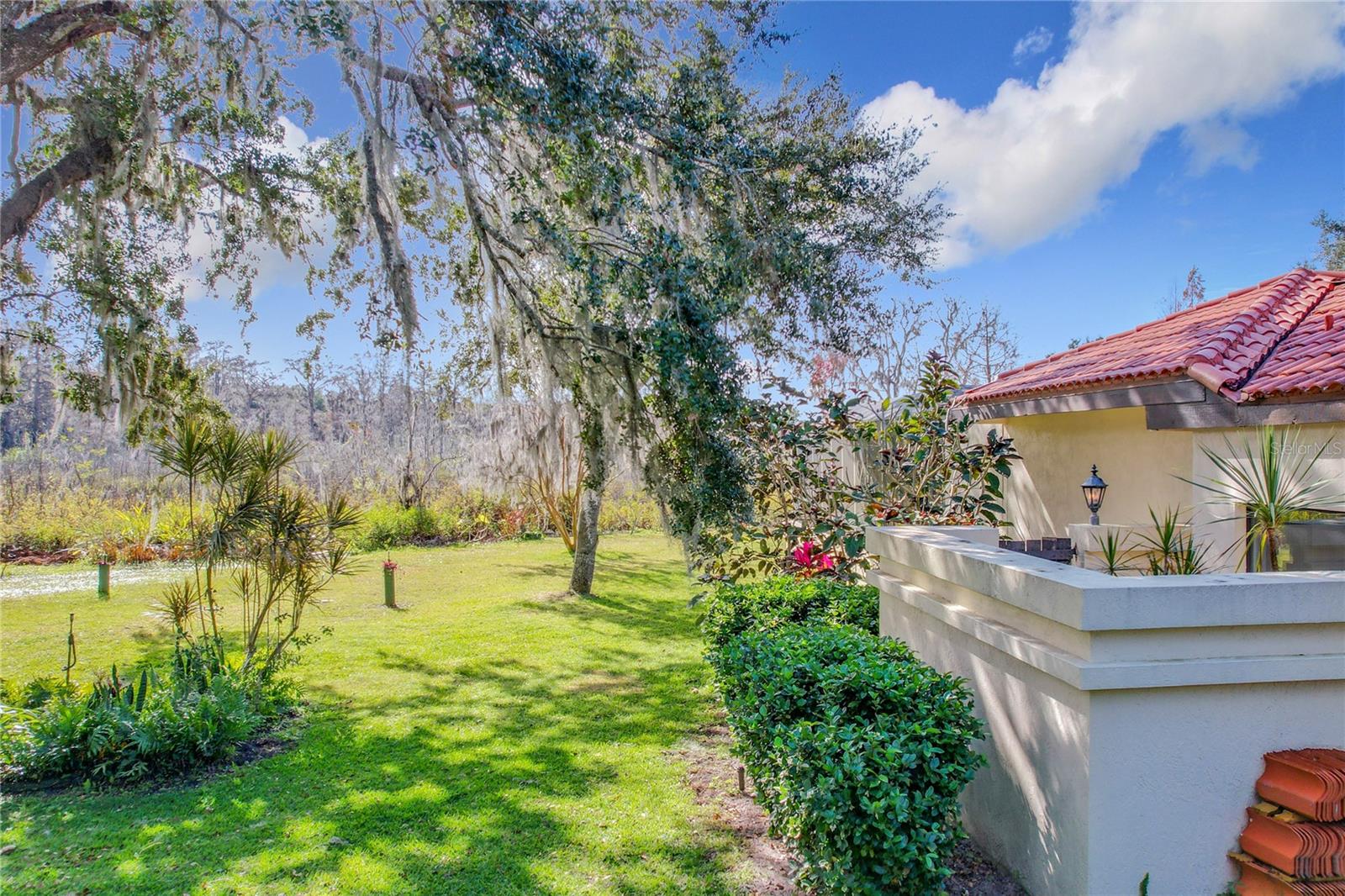 1130 ELYSIUM BLVD, MOUNT DORA, FL, 32757