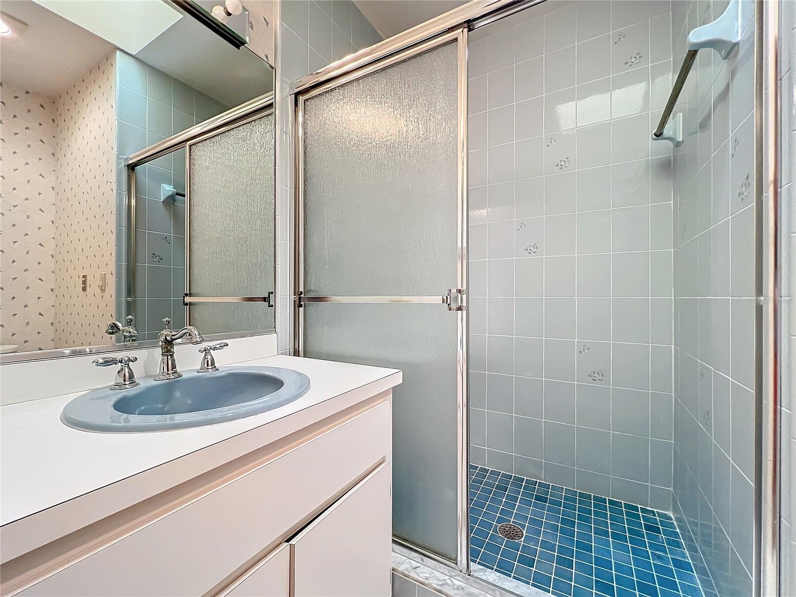 1130 ELYSIUM BLVD, MOUNT DORA, FL, 32757