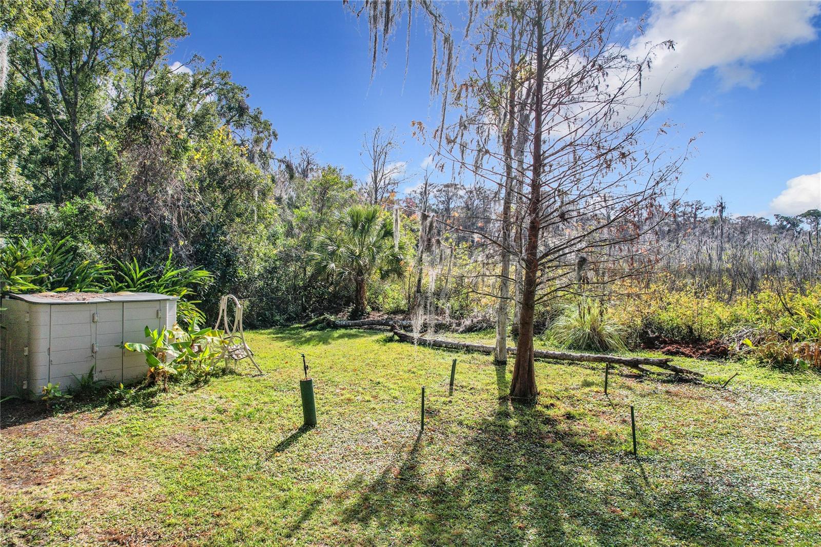 1130 ELYSIUM BLVD, MOUNT DORA, FL, 32757