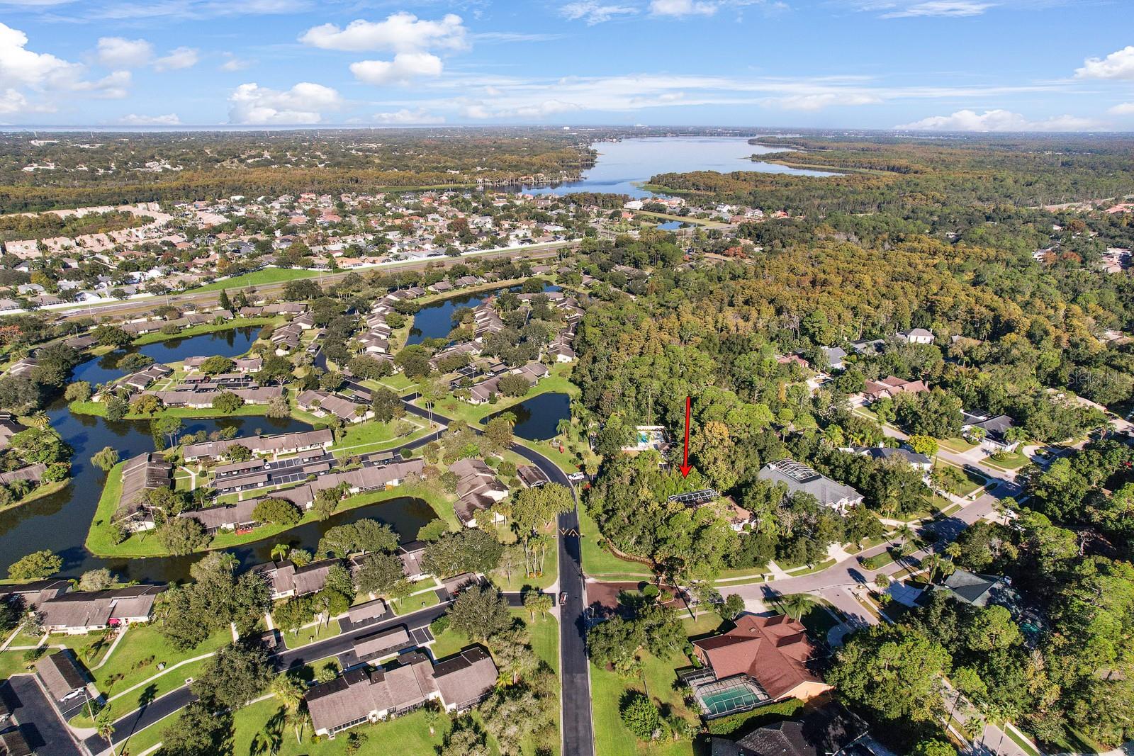 110 DEERPATH DR, OLDSMAR, FL, 34677