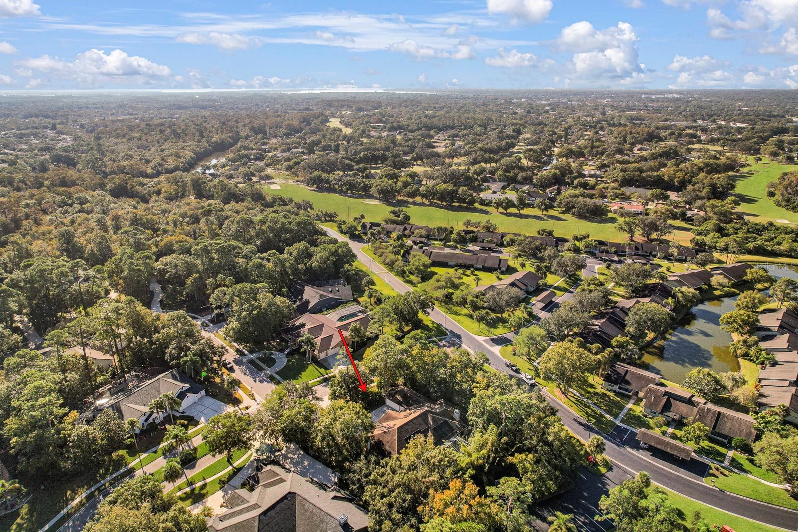110 DEERPATH DR, OLDSMAR, FL, 34677