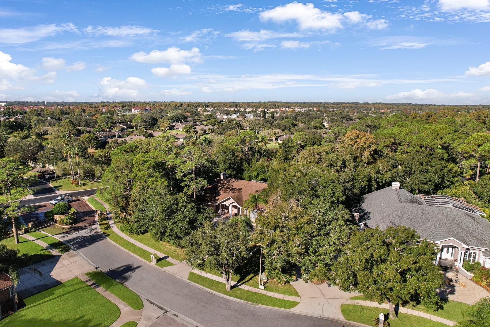 110 DEERPATH DR, OLDSMAR, FL, 34677