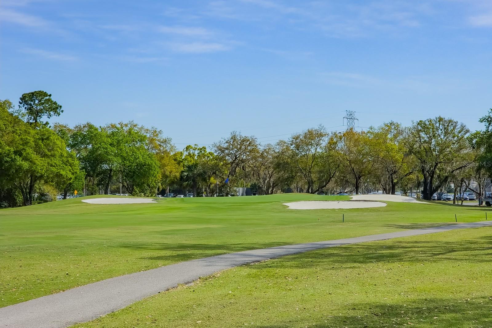 110 DEERPATH DR, OLDSMAR, FL, 34677