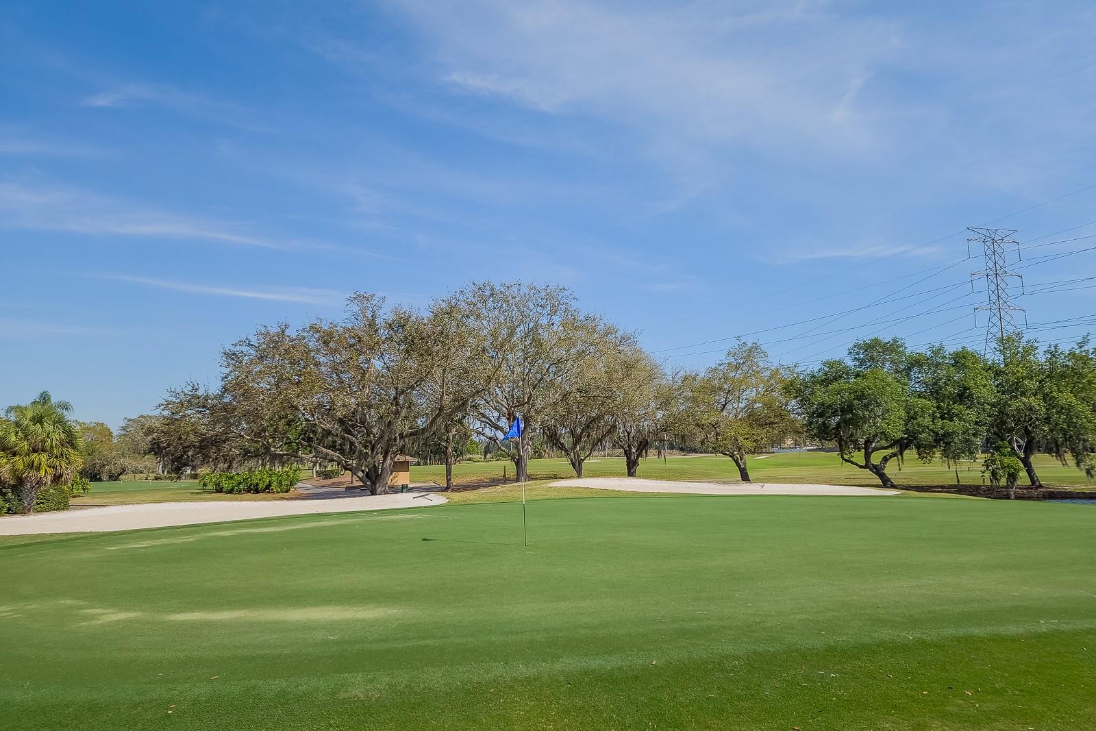 110 DEERPATH DR, OLDSMAR, FL, 34677