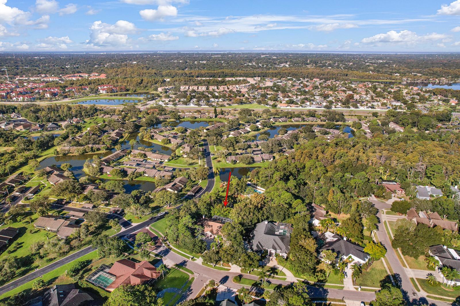 110 DEERPATH DR, OLDSMAR, FL, 34677