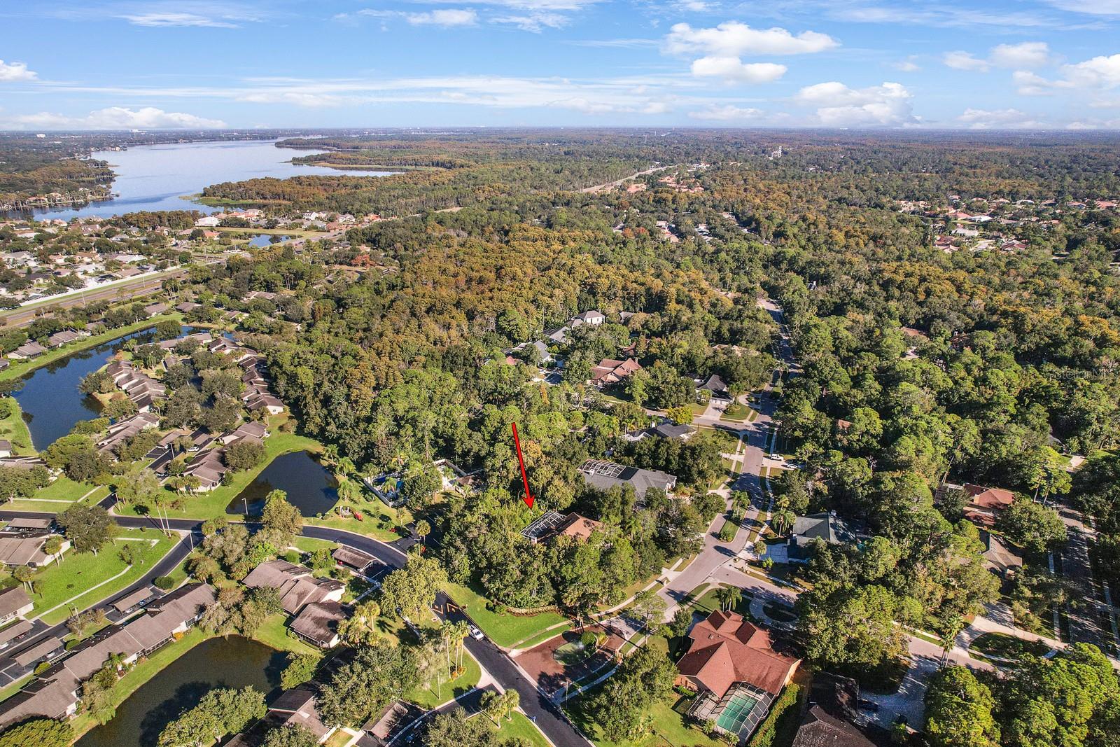 110 DEERPATH DR, OLDSMAR, FL, 34677