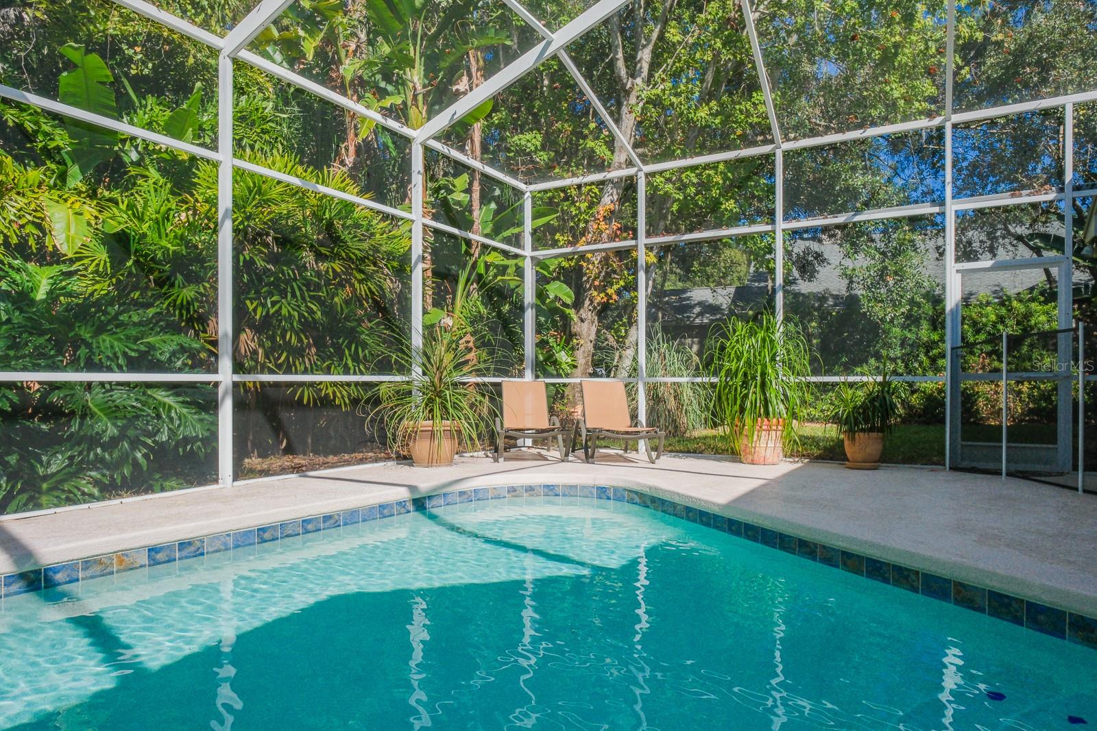110 DEERPATH DR, OLDSMAR, FL, 34677