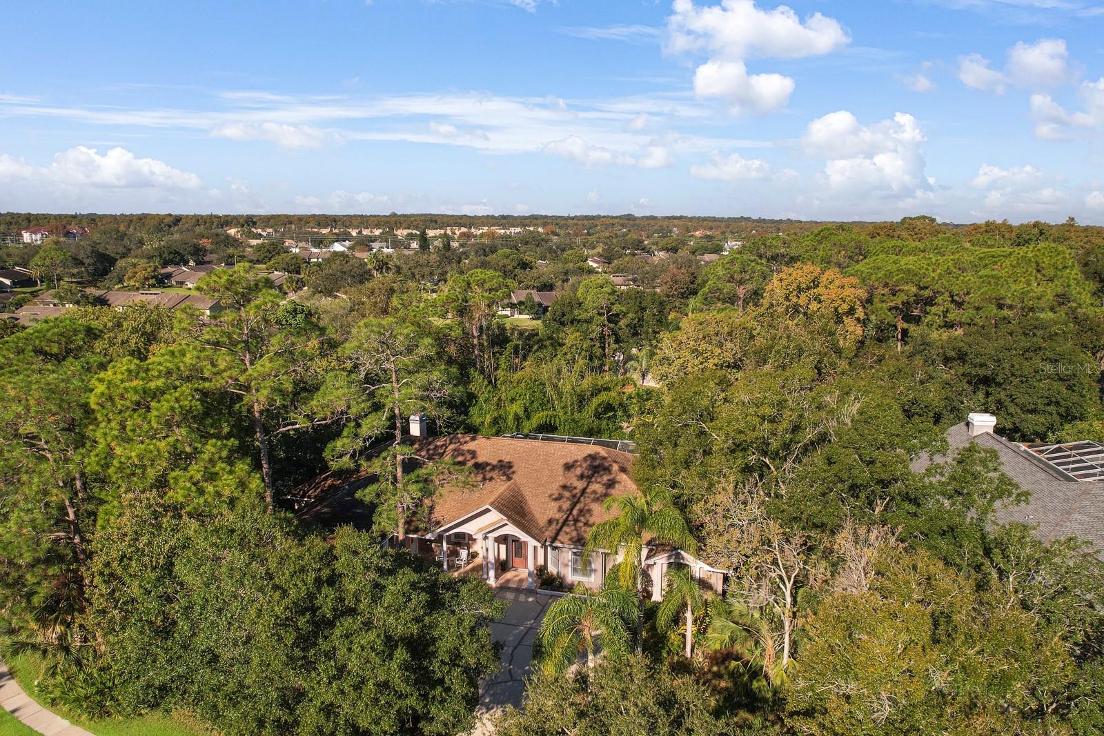 110 DEERPATH DR, OLDSMAR, FL, 34677