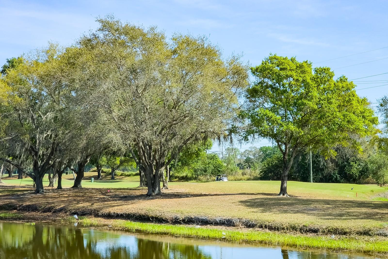 110 DEERPATH DR, OLDSMAR, FL, 34677
