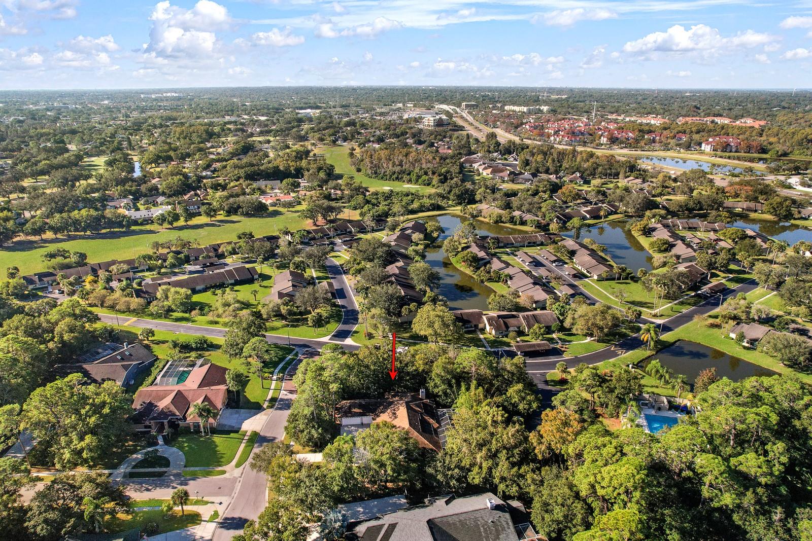 110 DEERPATH DR, OLDSMAR, FL, 34677