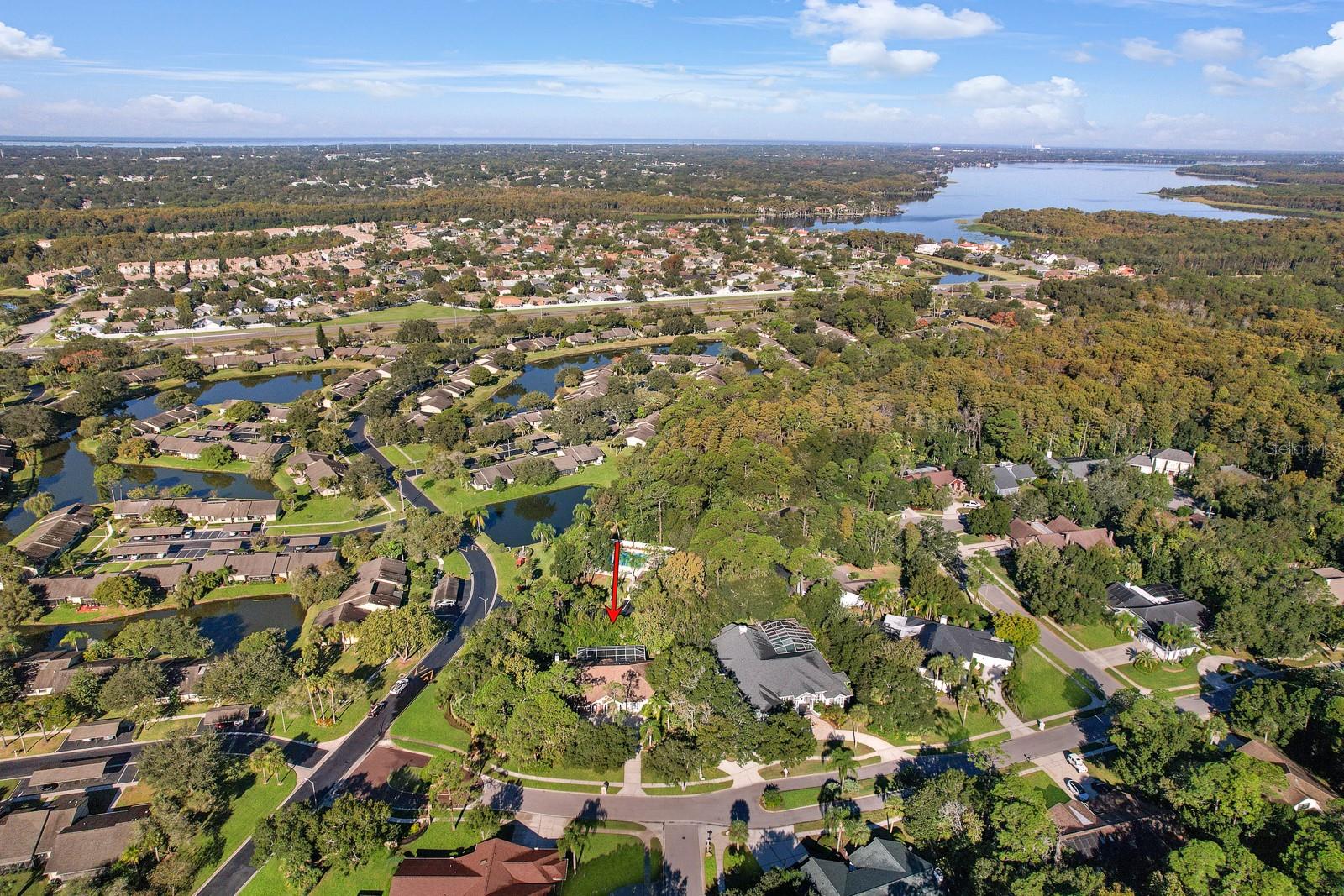 110 DEERPATH DR, OLDSMAR, FL, 34677