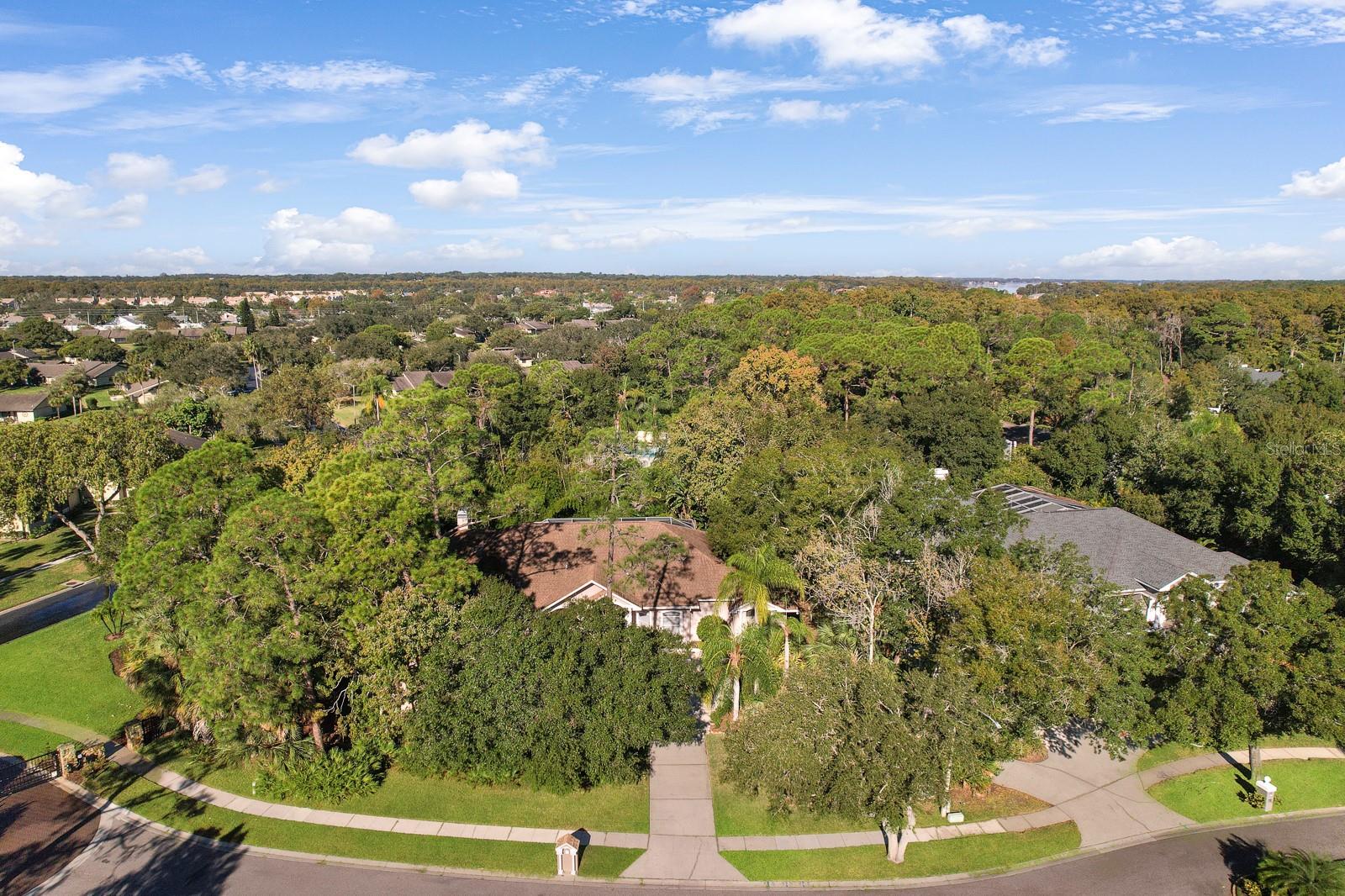 110 DEERPATH DR, OLDSMAR, FL, 34677