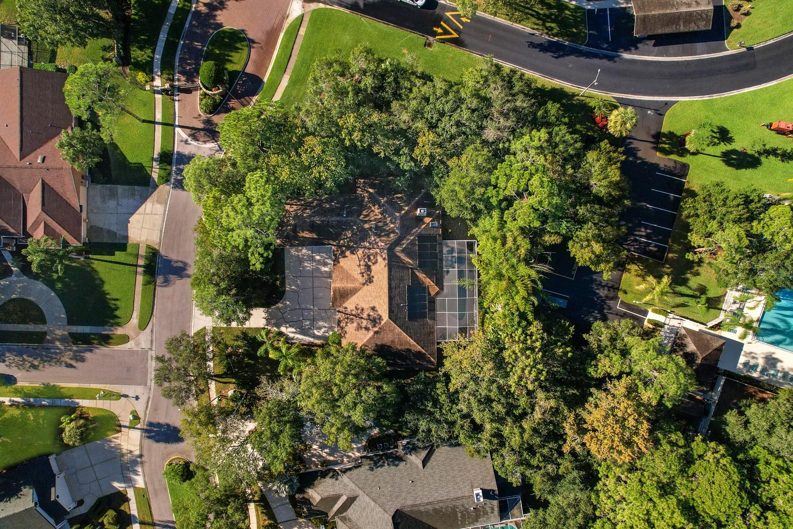 110 DEERPATH DR, OLDSMAR, FL, 34677
