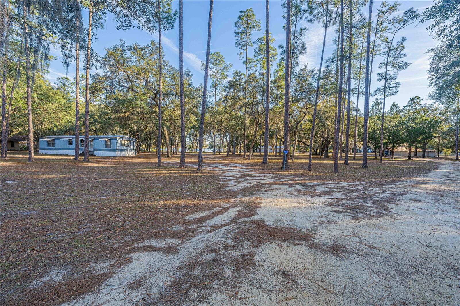 311 STAR LAKE DR, HAWTHORNE, FL, 32640