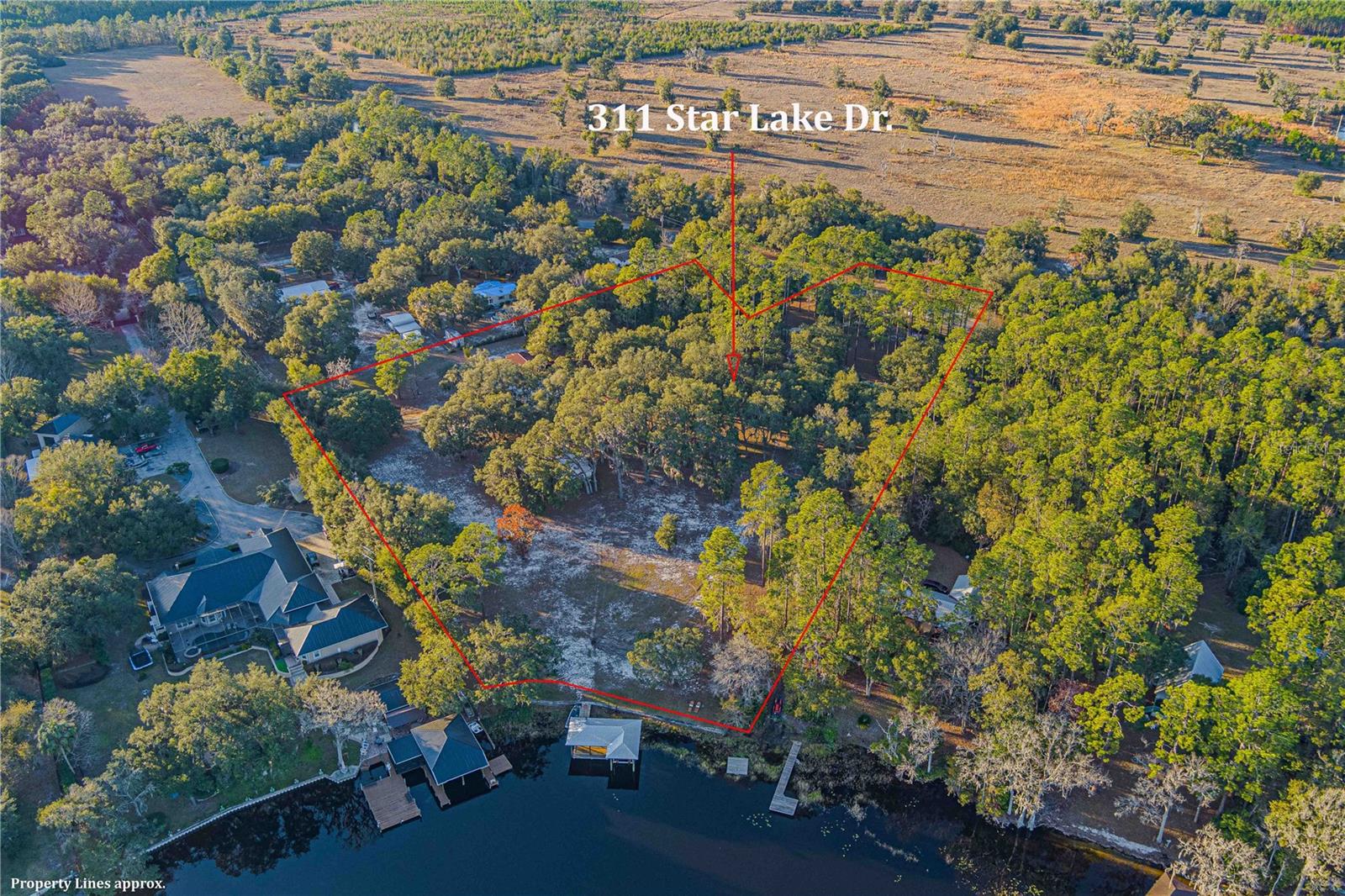 311 STAR LAKE DR, HAWTHORNE, FL, 32640