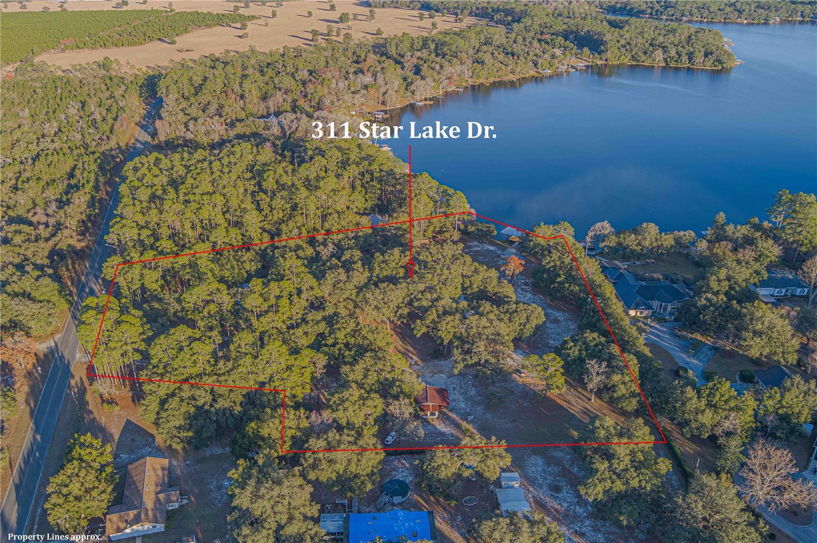 311 STAR LAKE DR, HAWTHORNE, FL, 32640