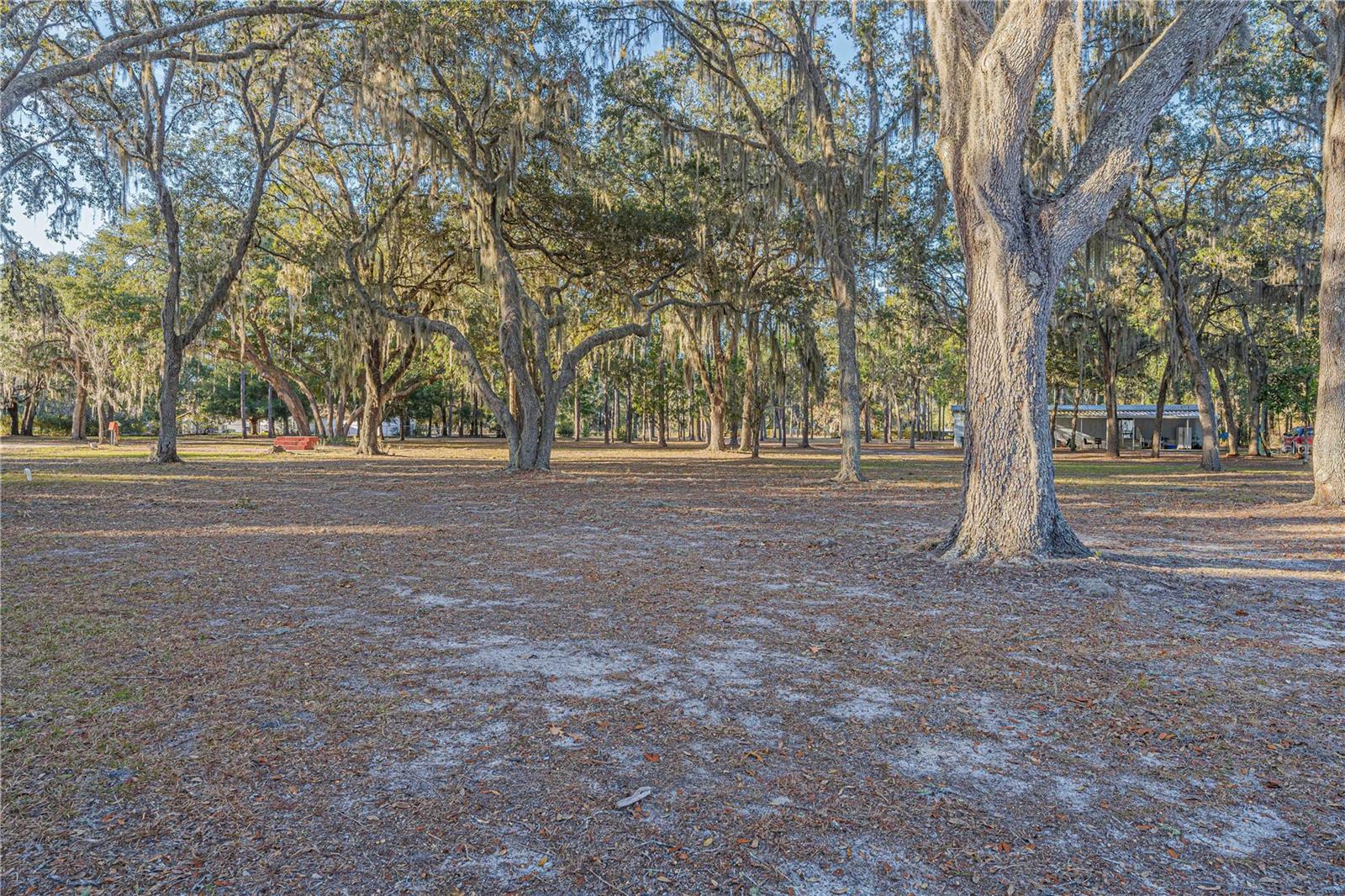 311 STAR LAKE DR, HAWTHORNE, FL, 32640