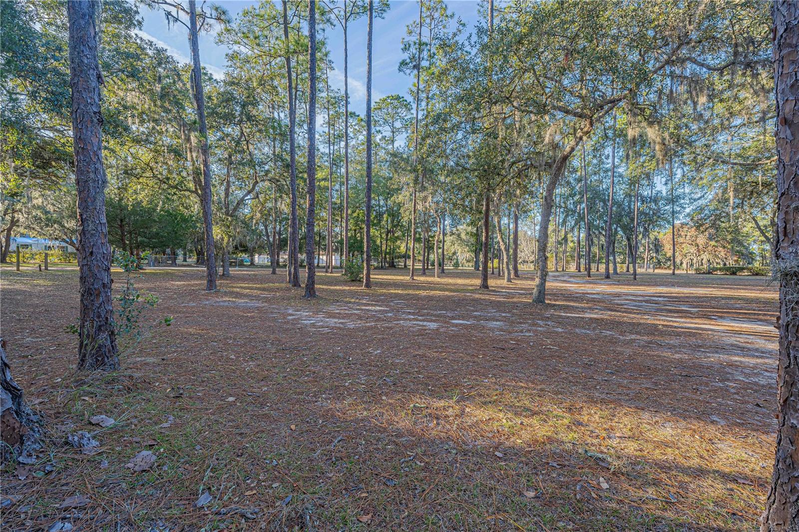 311 STAR LAKE DR, HAWTHORNE, FL, 32640