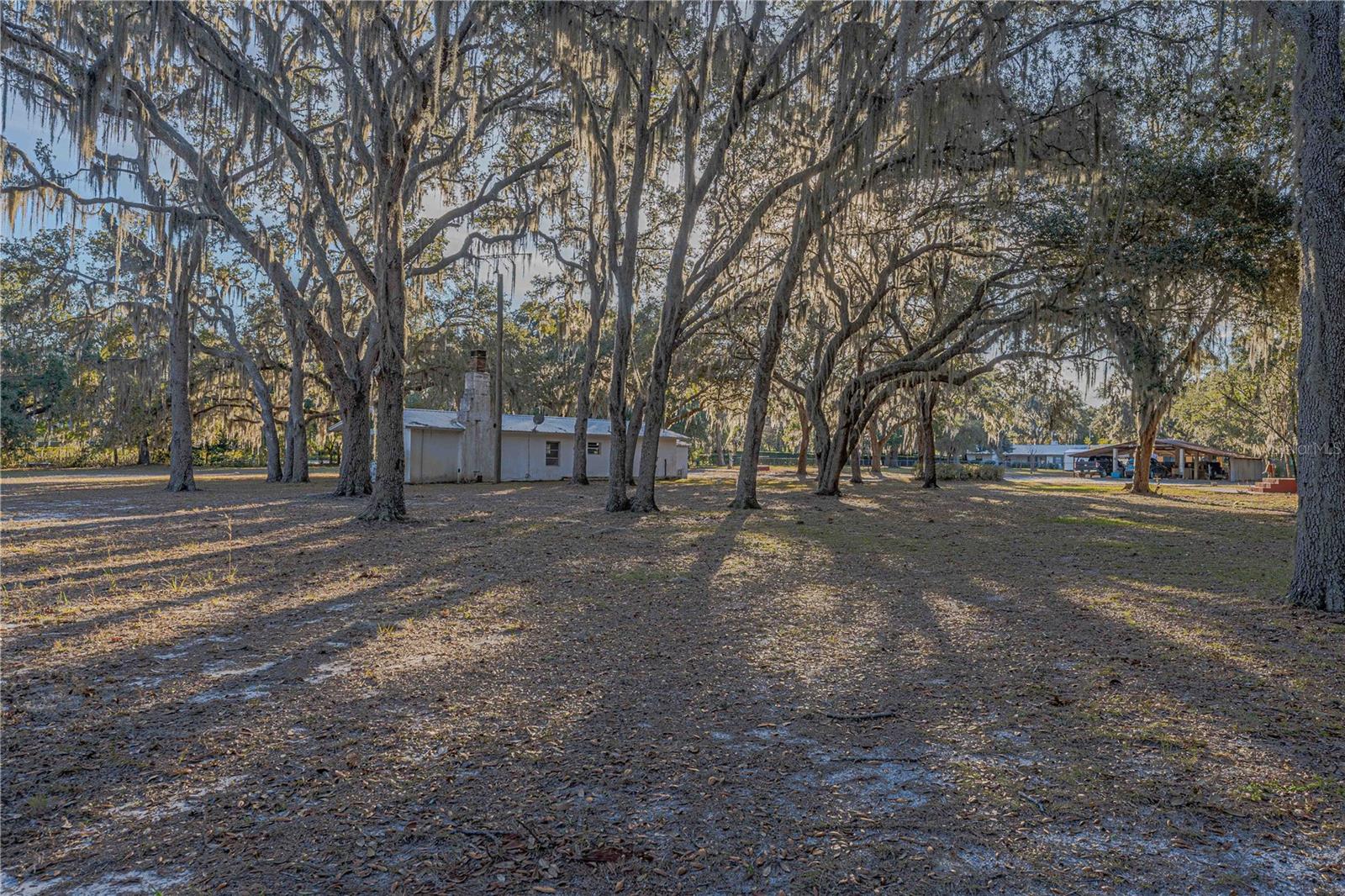 311 STAR LAKE DR, HAWTHORNE, FL, 32640