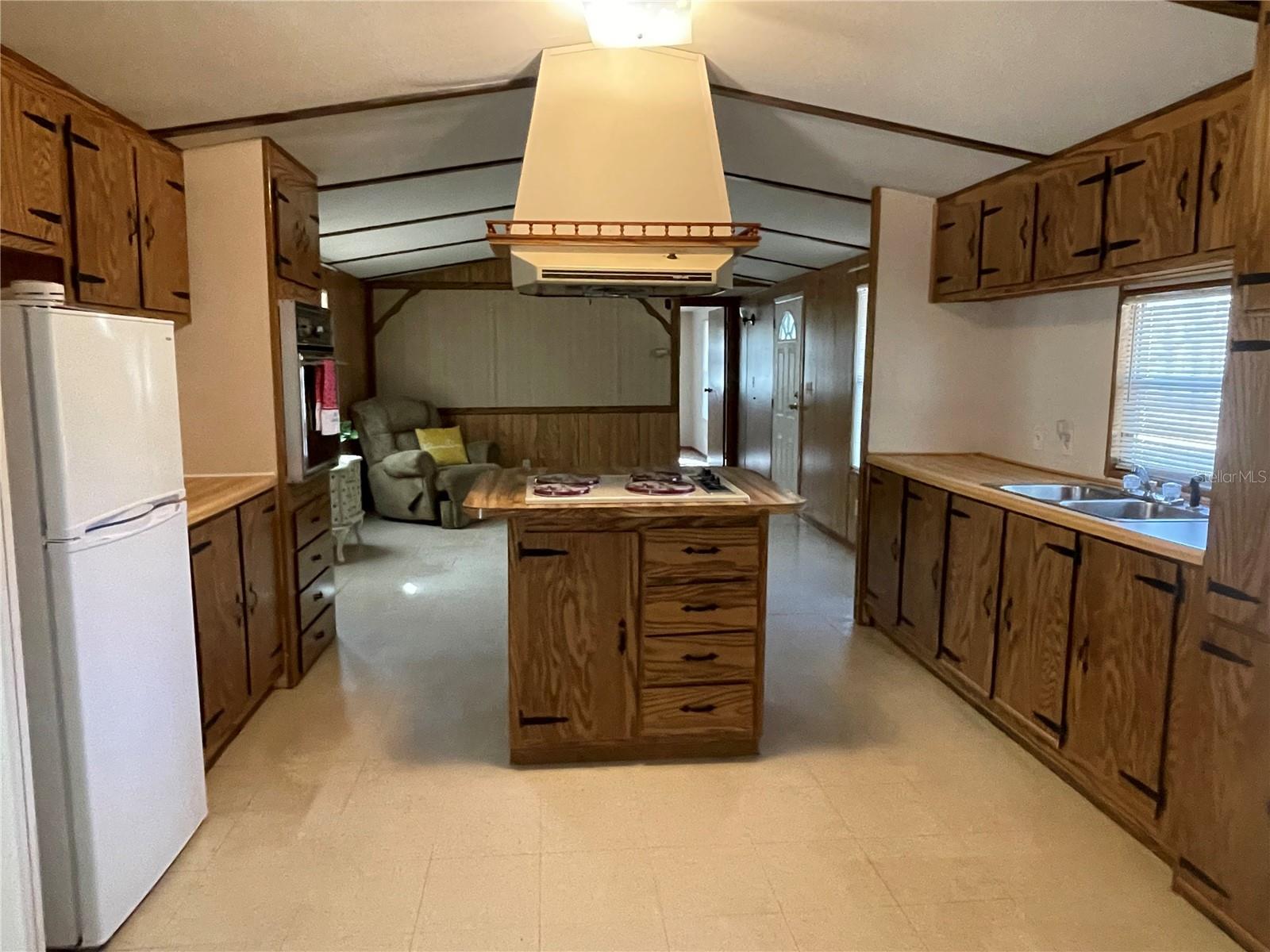 311 STAR LAKE DR, HAWTHORNE, FL, 32640