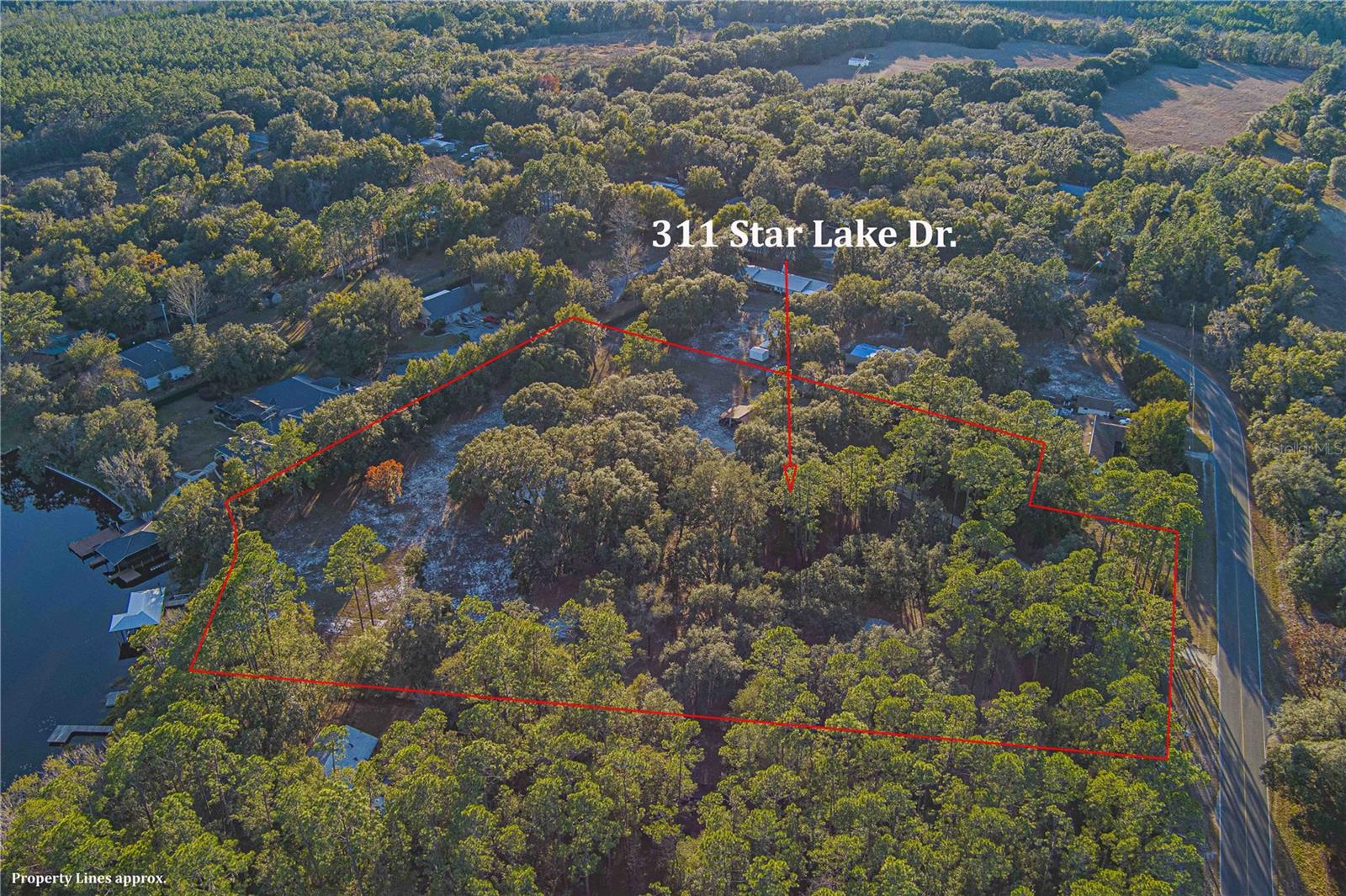 311 STAR LAKE DR, HAWTHORNE, FL, 32640