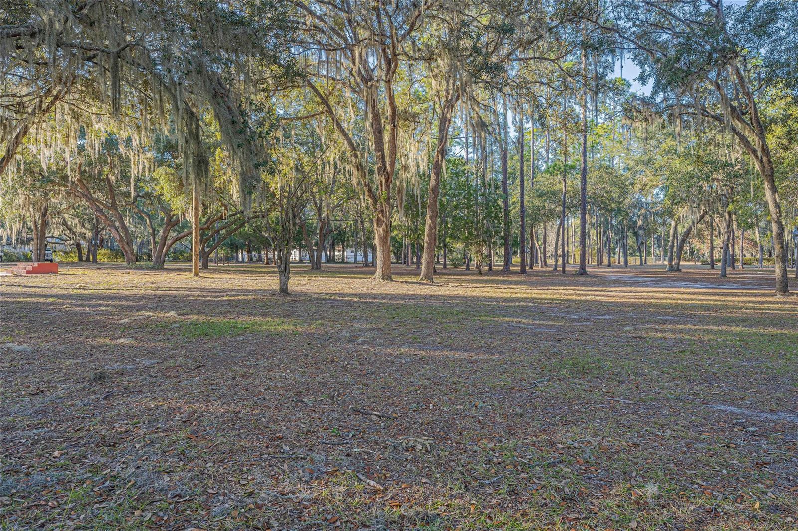 311 STAR LAKE DR, HAWTHORNE, FL, 32640