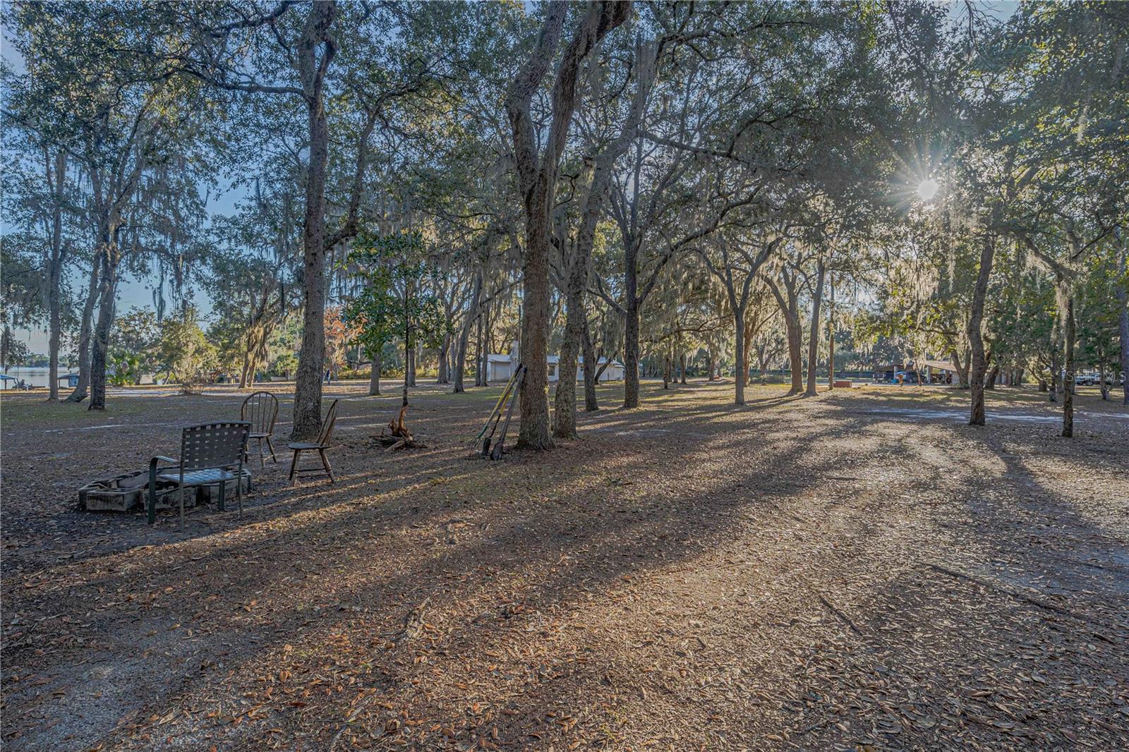 311 STAR LAKE DR, HAWTHORNE, FL, 32640