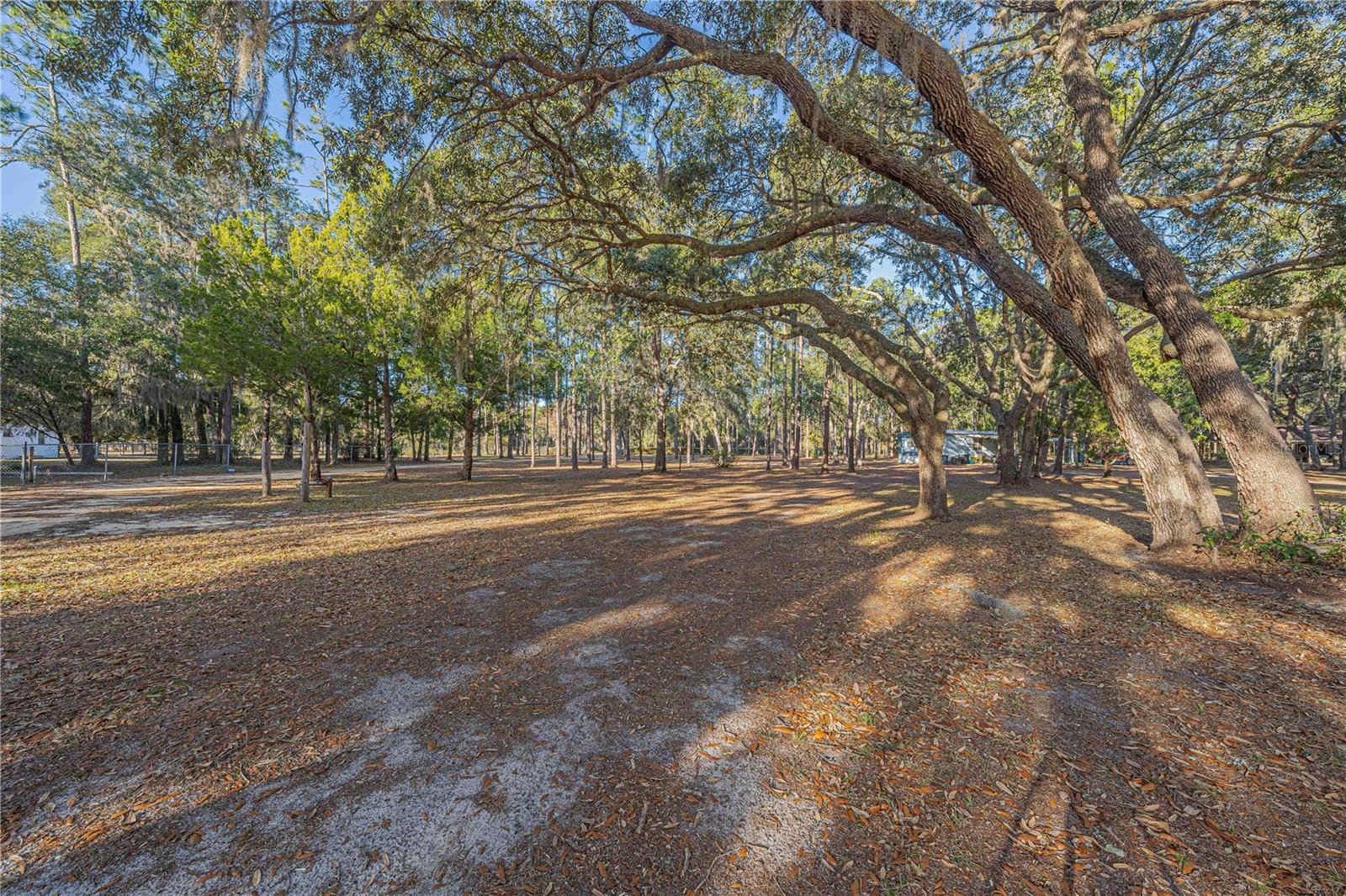 311 STAR LAKE DR, HAWTHORNE, FL, 32640