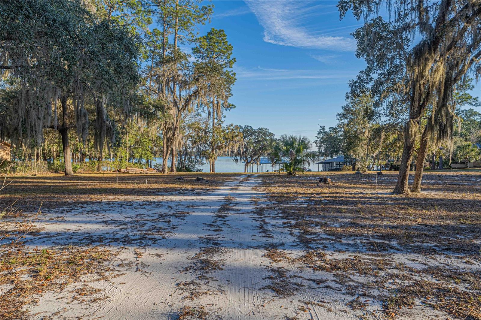 311 STAR LAKE DR, HAWTHORNE, FL, 32640