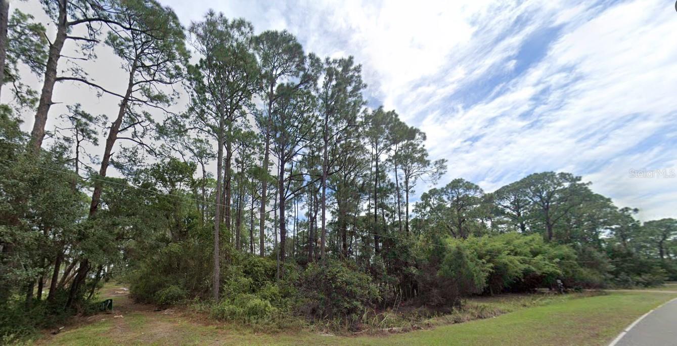 220 LEVY BAY RD, PANACEA, FL, 32346