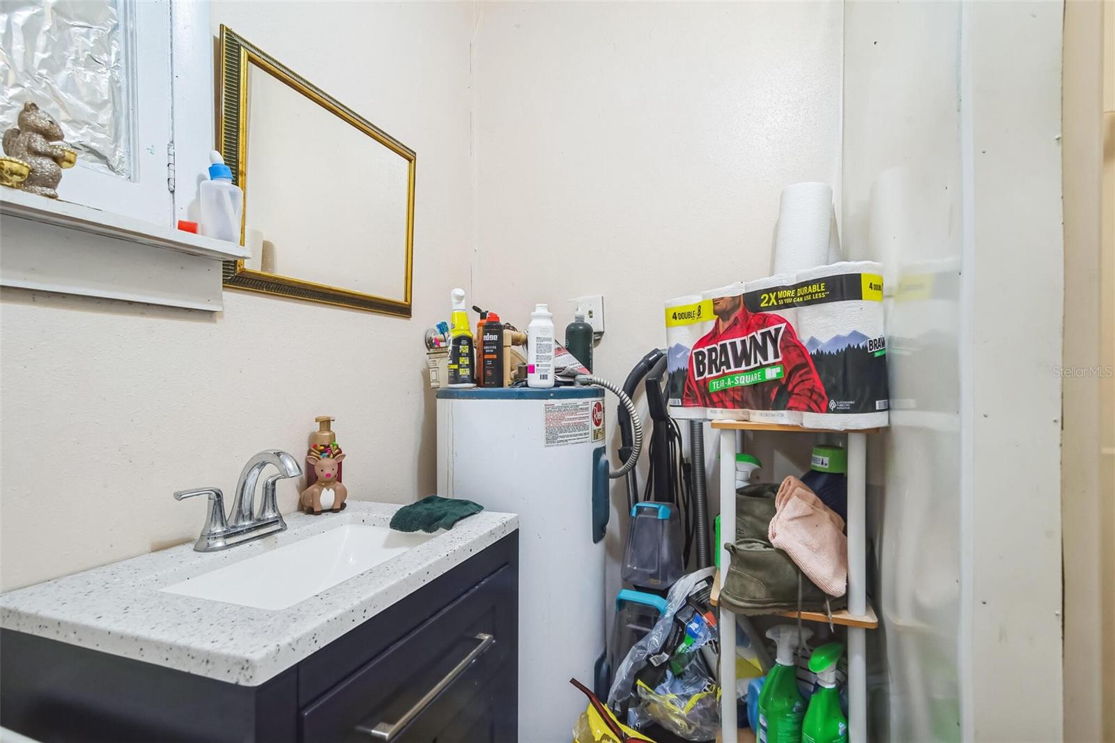 42313 STATE ROAD 19, ALTOONA, FL, 32702