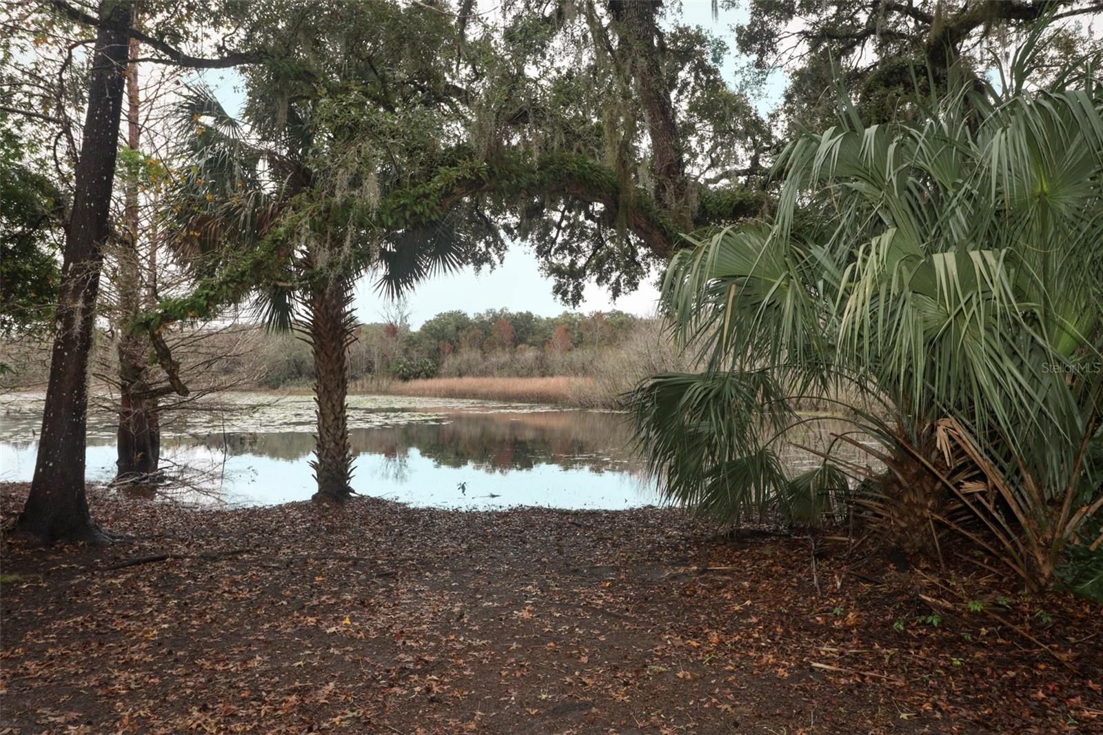 1633 CEDAR GLEN DR, APOPKA, FL, 32712